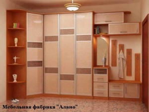 Прихожая 201